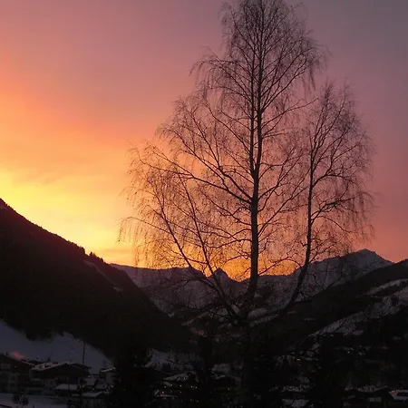 فندق-بنسيون فلورا فندق مبيت وإفطار سالباخ هينترغليم